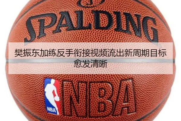 樊振东加练反手衔接视频流出新周期目标愈发清晰（Kaiyuan Games）